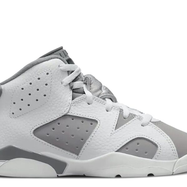 Jordan 6 Retro PS 'Cool Grey'