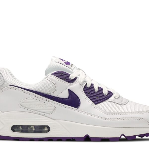 Air Max 90  GS 'Color Pack - Court Purple'
