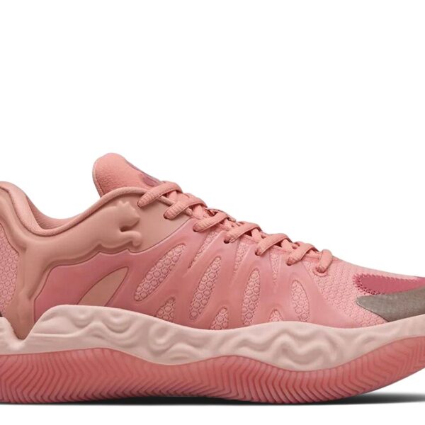 Hali 1 'Poppy Pink'
