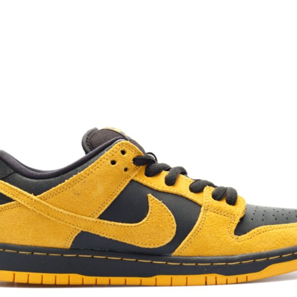 SB Dunk Low Pro 'Iowa'