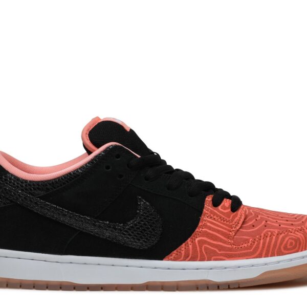 Premier x Dunk Low Pro SB 'Fish Ladder'