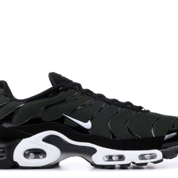 Air Max Plus 'Black Sequoia'
