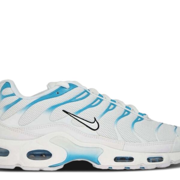Air Max Plus 'Blue Fury'