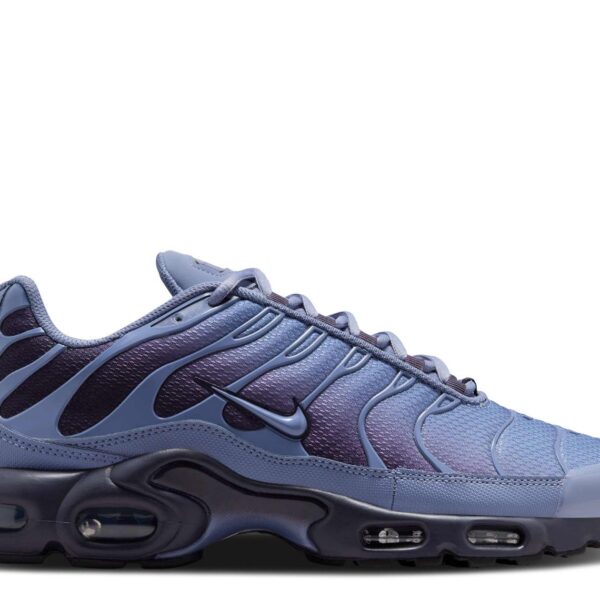 Air Max Plus 'World Indigo'