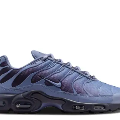 Air Max Plus 'World Indigo'