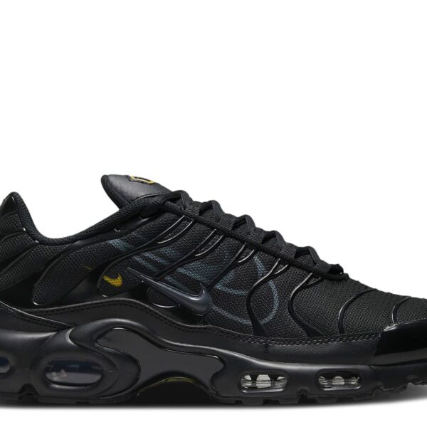 Air Max Plus 'Multi-Swoosh - Black'