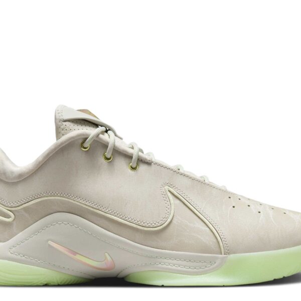 LeBron 22 'Dunkman'