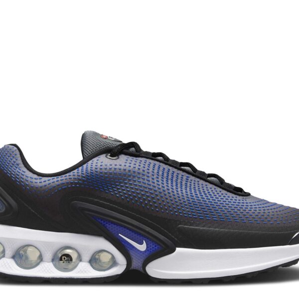 Air Max DN 'Black Racer Blue'