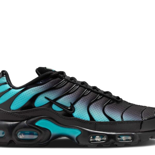 Air Max Plus 'Black Dusty Cactus'