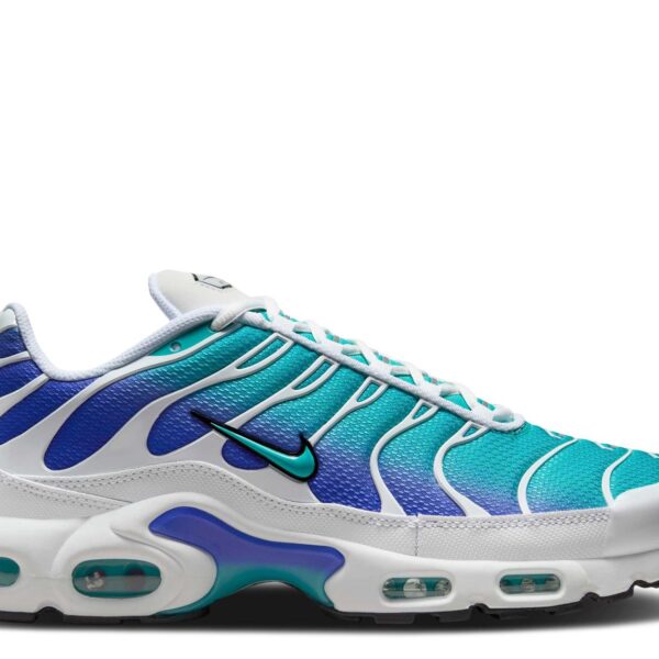 Air Max Plus 'Dusty Cactus Persian Violet'