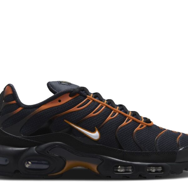 Air Max Plus 'Dark Obsidian Monarch'