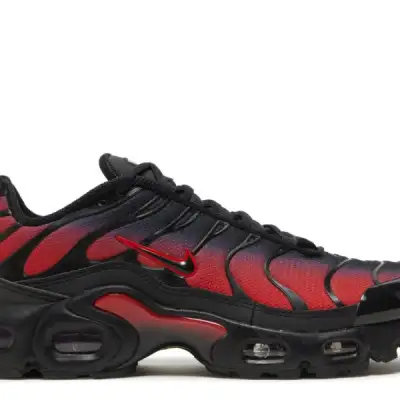 Air Max Plus GS 'Bred Gradient'