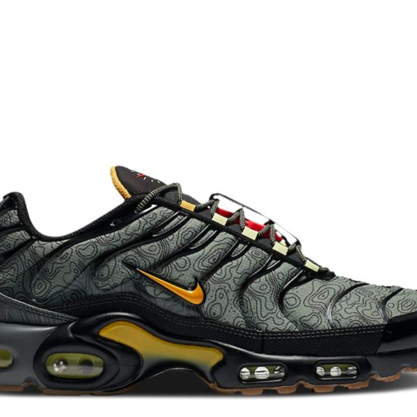 Air Max Plus 'Fresh Perspective'