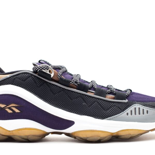 DMX Run 10